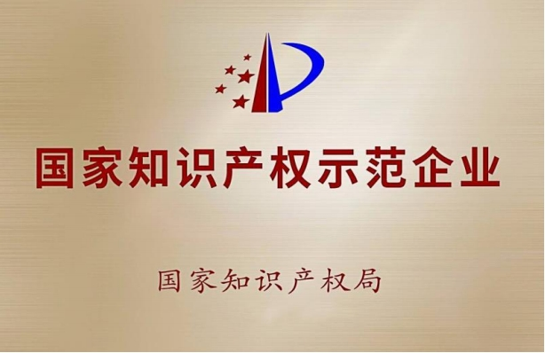 國家知識產(chǎn)權示范企業(yè)